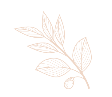 image - 2025-10-27T114110.459