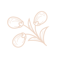 image - 2025-10-27T114117.372